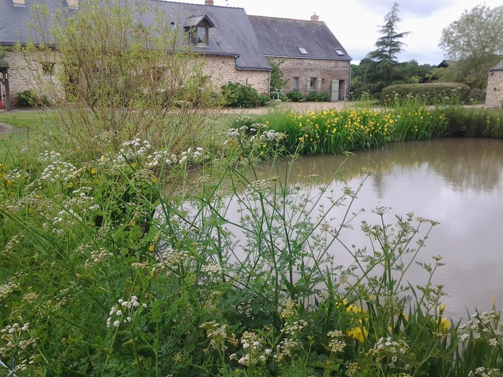 Bed and Breakfast Grand Mainguet Saint-Lambert-la-Potherie Exterior foto